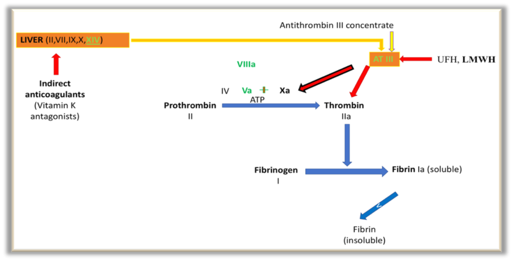 Innovative Approaches to the Application of Anticoagulants and ...
