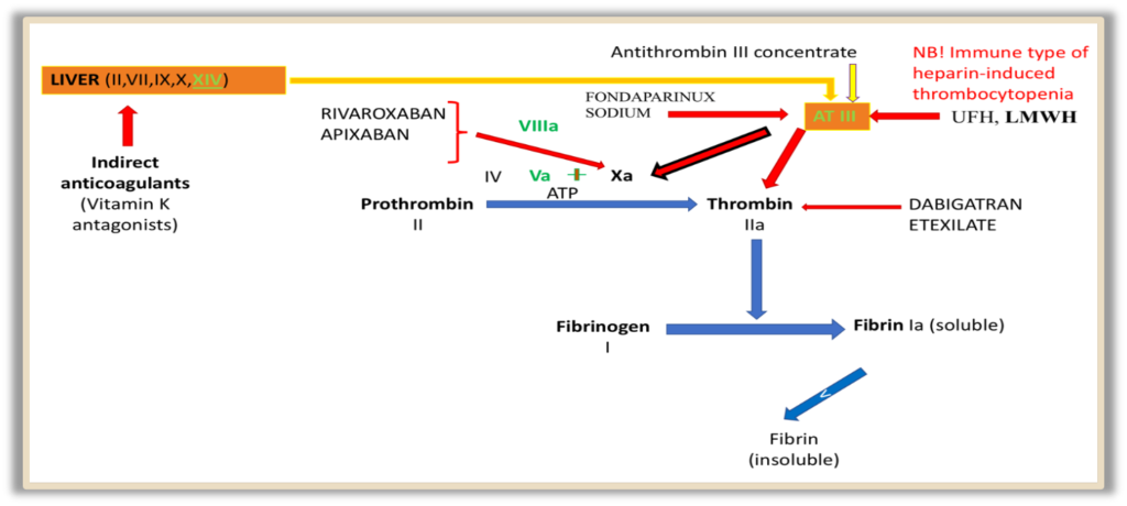 Innovative Approaches to the Application of Anticoagulants and ...