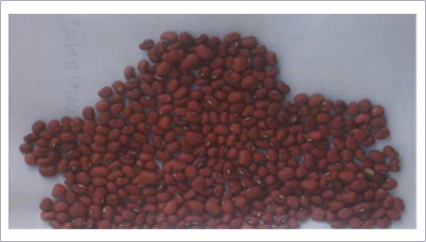 FT-IR Studies on the Influence of Germination on Compositional ...